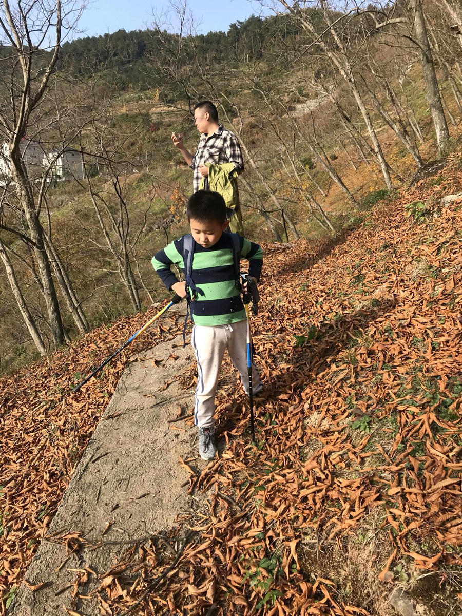 孩子独自走在铺满枯叶的林间小径