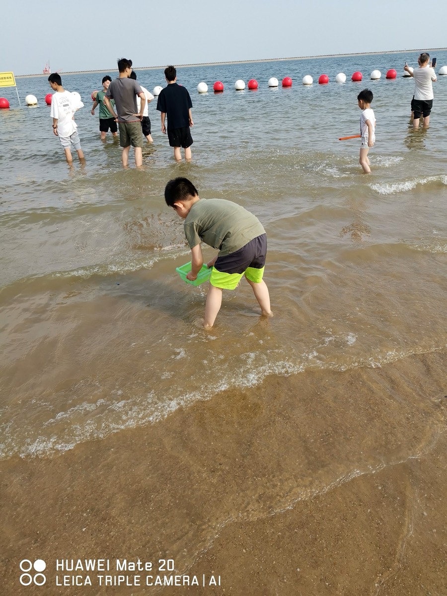 小男孩弯腰握绿色水桶在浅水玩水,身后红白浮标