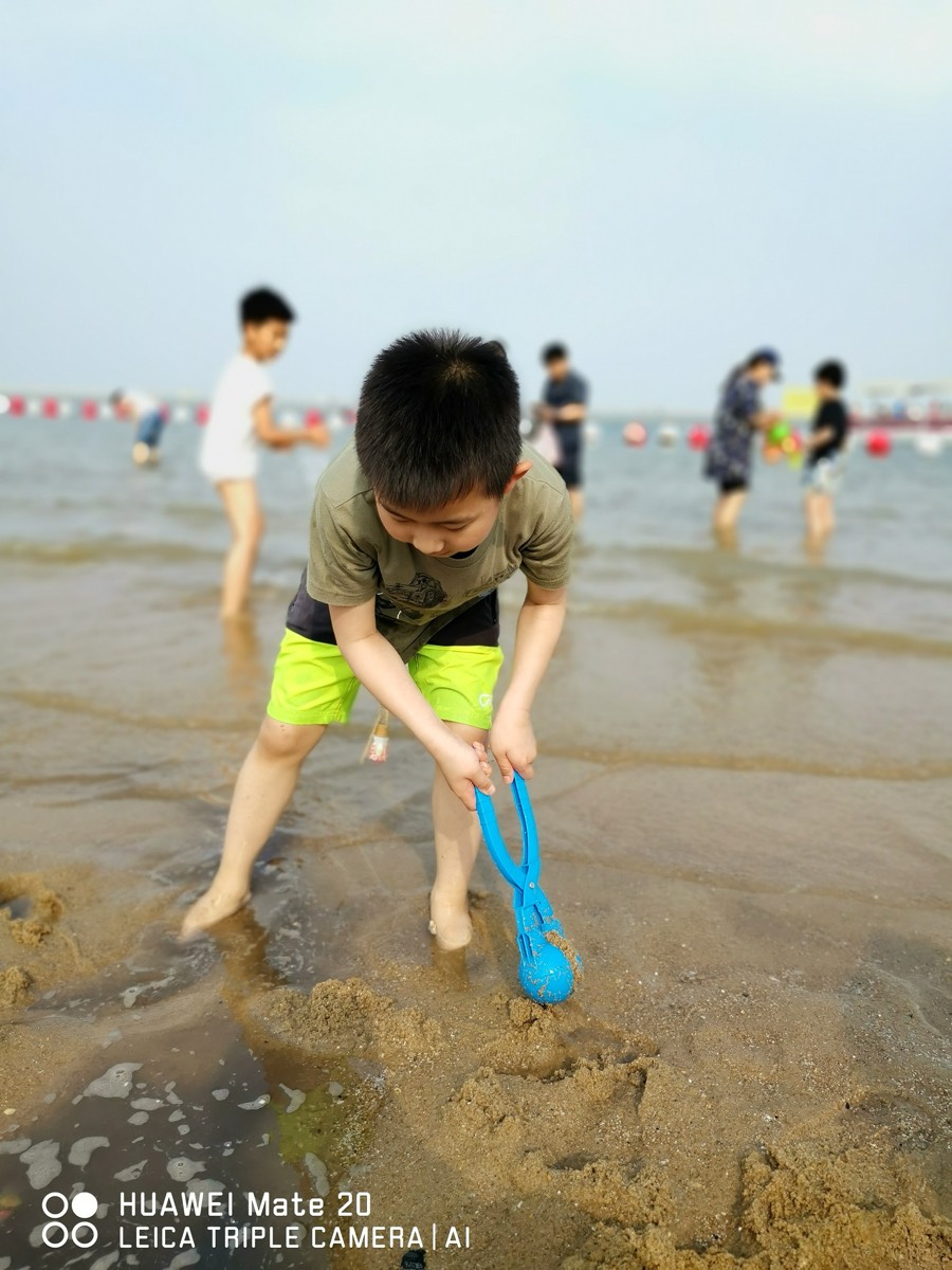 男孩握蓝色夹子在浅水沙地专注挖沙,远景红浮标